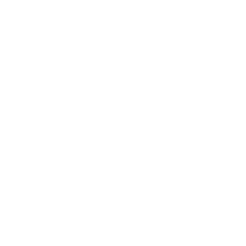 Categoría Esencial