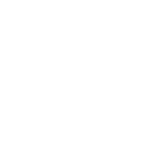 Categoría Flash